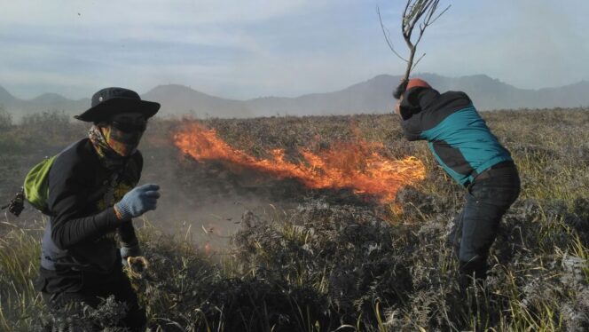 
					Dua petugas berusaha mengendalikan api di kawasan padang savana Bromo, Senin (11/9/2017)  