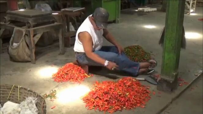 
					Pedagang cabai di Pasar Tanjung Jember tengah memeriksa cabai yang mulai membusuk, Selasa (19/9/2017).  