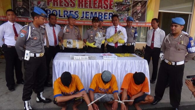 
					Edarkan Ganja Lewat Pos, Tiga Pemuda Diringkus Polres Jember