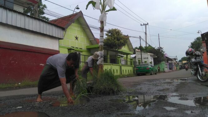 
					Protes Jalan Rusak, Warga Kota Probolinggo Tanam Pohon Pisang