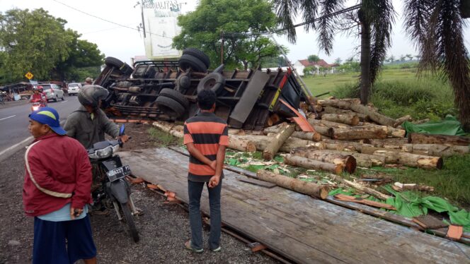 
					Hindari Pemotor, Truk Angkut Sengon Terguling