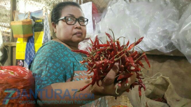 
					Cabai Lokal Mahal, Pedagang Beralih Jual Cabai India