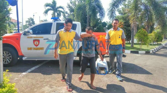 
					Terlibat Perdagangan Satwa Dilindungi, Pria Kraksaan Ditahan
