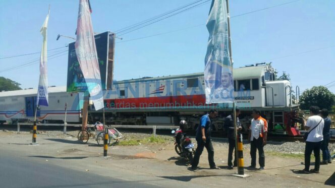 
					Waduh.. Alat Peraga Kampanye Pilwali Kota Probolinggo Dicopot, Kenapa?