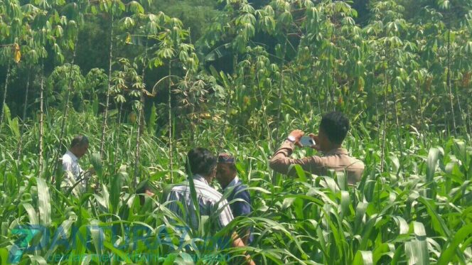 
					Tak Ada Laporan, Polisi Lambat Tangani Kebakaran Satu Keluarga di Leces