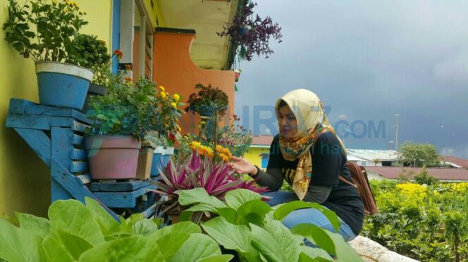 
					Wow.. Ada Kampung Bunga di Kebun Teh Tiris
