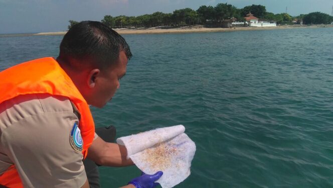 
					Bayi Lobster Senilai Rp 5 Miliar, Dilepasliarkan di Perairan Gili