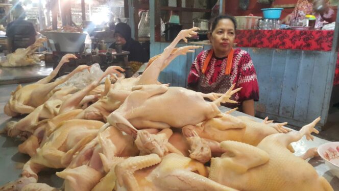 
					Harga Ayam Broiler Normal, Konsumen Minta Tak Naik, Langka Lagi