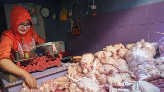 
					Mendekati Bulan Ramadhan, Harga Daging Ayam Broiler Kian Meroket