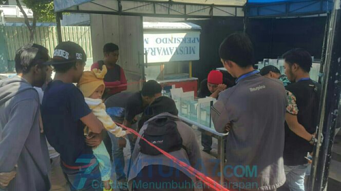 
					Yukh, Populerkan Ikan Cupang Bersama Probolinggo Betta Community
