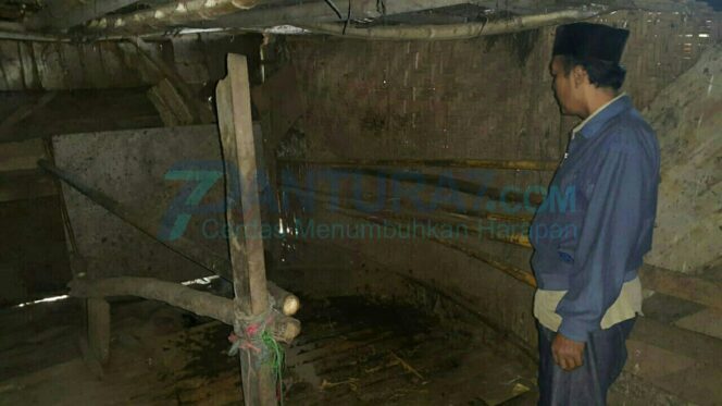 
					Jelang Idul Qurban, Curwan Marak