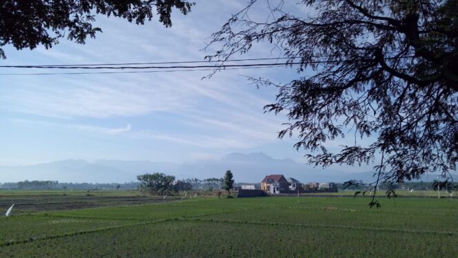 
					Hutan Lindung Pegunungan Argopuro Terbakar
