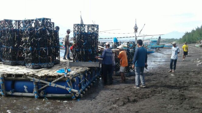 
					Tingkatkan Hasil Tangkap, 1.260 Modul Fish Apartement Ditenggelamkan