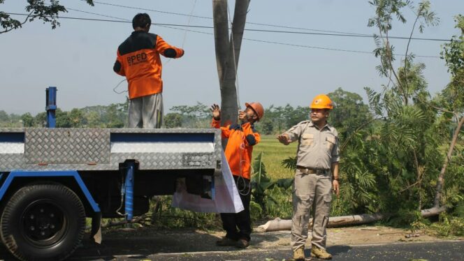 
					Rawan Tumbang, Puluhan Pohon Jalan Nasional Dipangkas