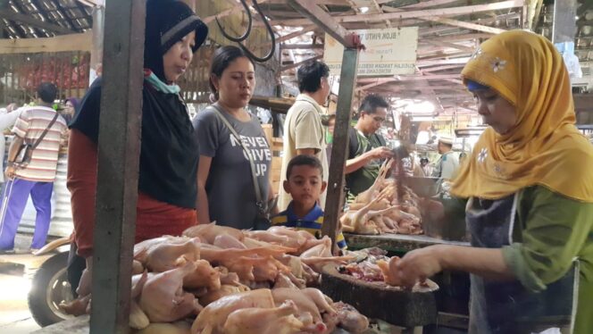 
					Jelang Idul Adha Harga Daging Ayam Turun