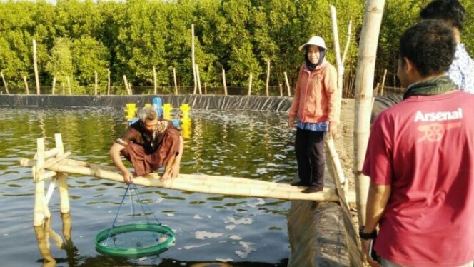 
					Budidaya Ikan Tawar Solusi Minimnya Pasokan Ikan