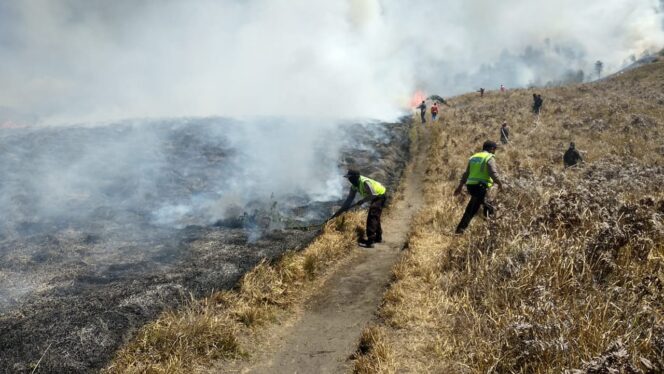 
					Meski Bukit Teletubbies Terbakar, Wisatawan Boleh Masuk Bromo