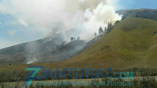 
					65 Hektare Savana Terbakar, Api Bisa Dijinakkan