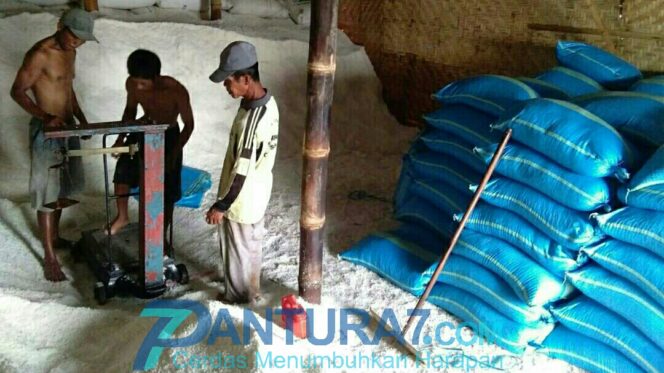 
					Kualitas Kian Bagus, Harga Garam Masih Bobrok