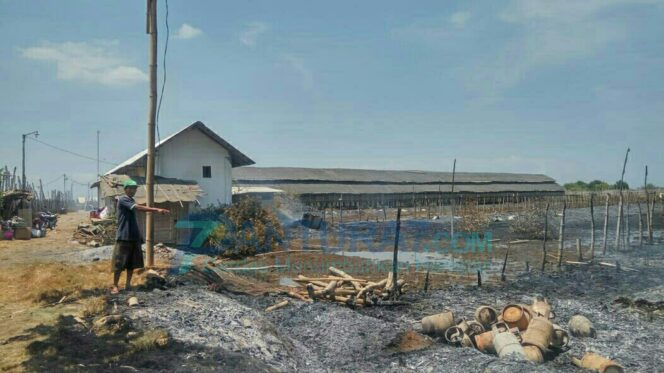 
					Tiga Kandang Ayam di Kraksaan Ludes Terbakar