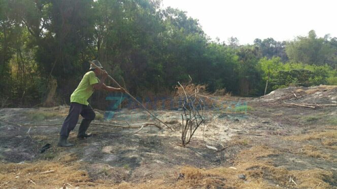 
					Limbah Telan Korban, DLH: PG Lalai