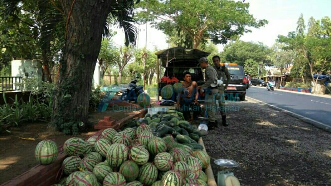 
					PKL Buah di Ruas Jalan Pangsud Ditertibkan