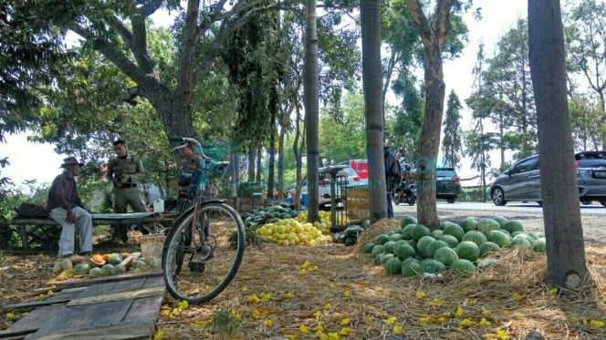 
					Disperindag Bakal Tata Ulang Pasar Buah Semampir