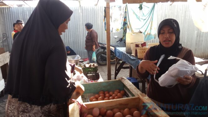
					Jelang Natal dan Tahun Baru, Harga Ayam dan Telur di Probolinggo  Fluktuatif