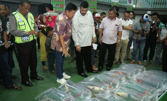 
					782 Ikan Koi Adu ‘Motif’ di Kota Probolinggo
