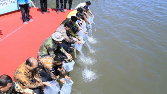 
					Jaga Ekosistem Laut, 15 Ribu Benih Ikan Ditebar