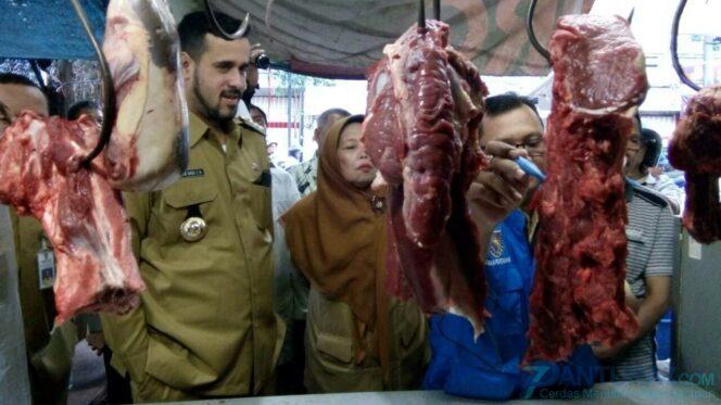 
					Walikota Probolinggo Jamin Daging Sapi Layak Konsumsi
