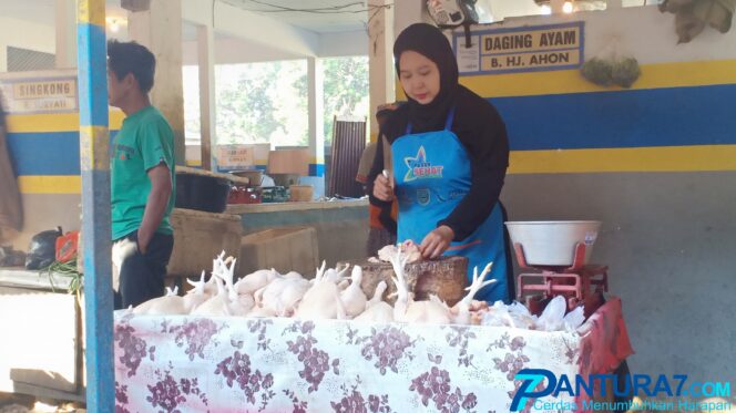 
					Sepekan Jelang Lebaran, Pembeli Ayam Potong Menghilang