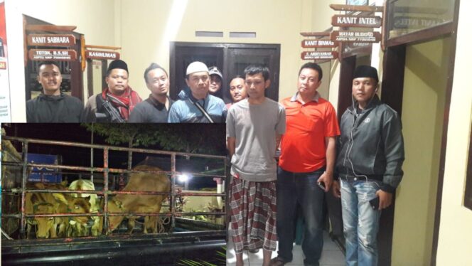 
					Garong 4 Ekor Sapi, Pria Wonomerto Diringkus