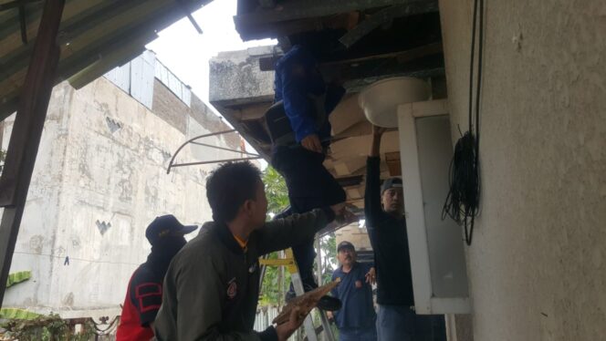 
					Bikin Masuk UGD, Pol PP Bongkar Sarang Lebah