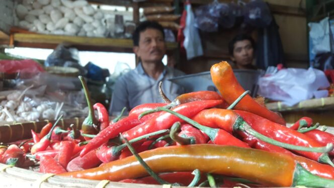 
					Harga Cabai ‘Keriting’ Kembali Naik