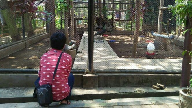 
					Libur Lebaran, Kebun Binatang Mini Dikerubuti Pengunjung