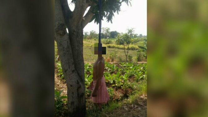 
					Geger, Pria Paruh Baya Tewas Tergantung di Klampokan