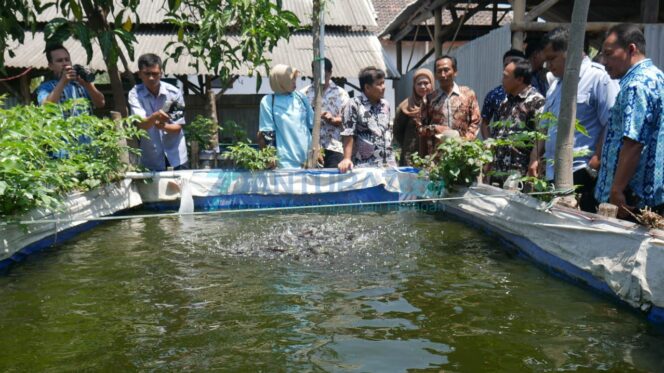 
					Berkat Pakan Mandiri, Pembudidaya Ikan Hemat 40 Persen