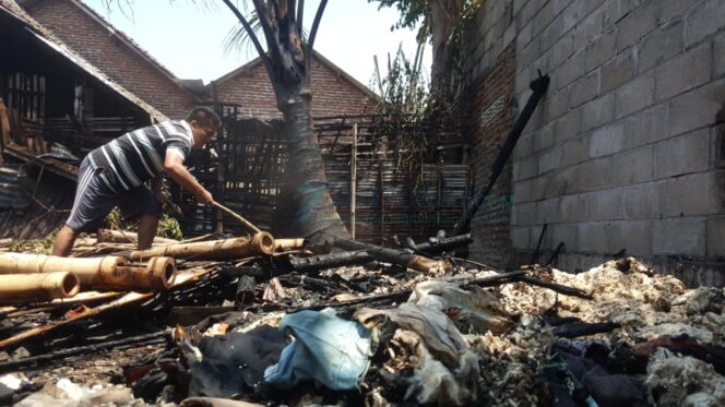 
					Dapur Terbakar, Ayam  Terpanggang