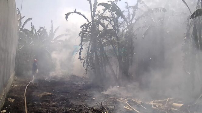 
					Lahan Kosong Terbakar,  Sulut Atap Rumah