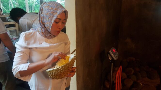 
					Musim Hujan, Durian Lumbang Diburu Wisatawan