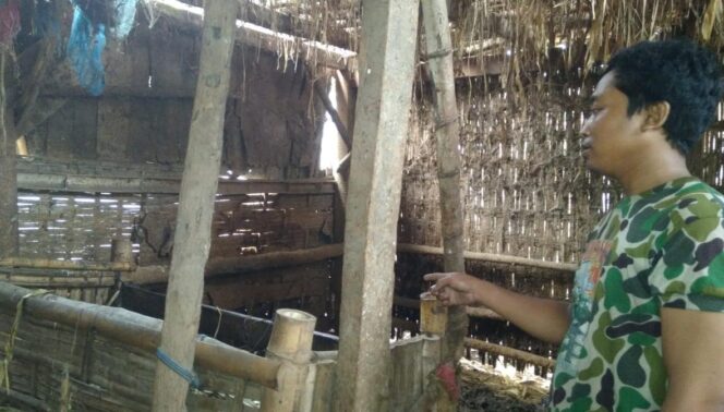 
					Kawanan Curwan Beraksi, 2 Ekor Sapi Raib