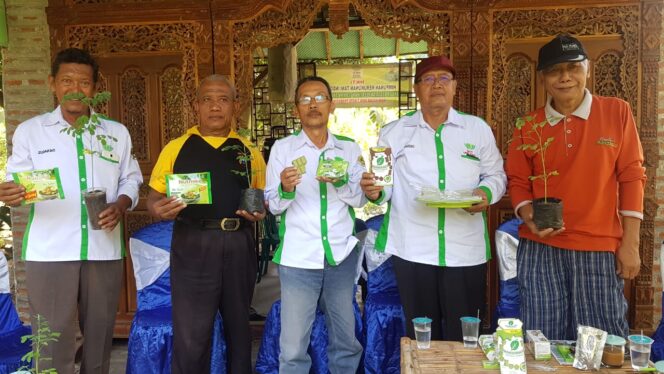 
					Probolinggo Datangkan Kelor dari Luar Daerah