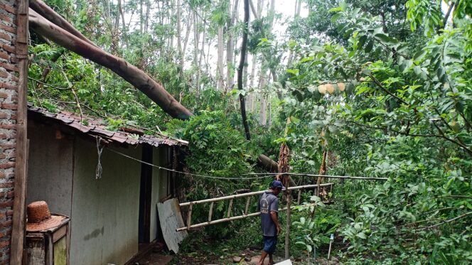 
					BPBD Sebut Puting Beliung Rusakkan 206 Rumah