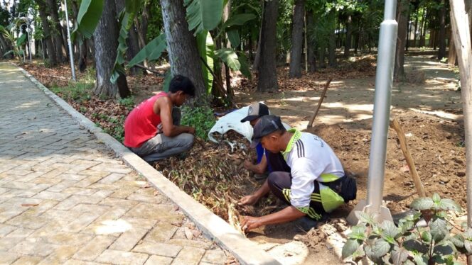 
					Mumpung Musim Hujan, Yukh Tanam Pohon