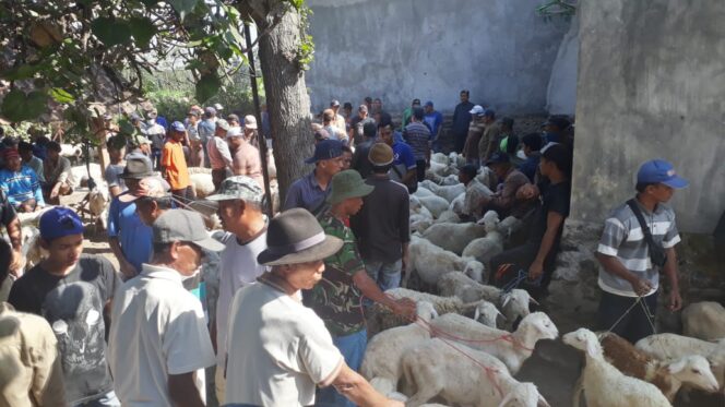 
					Tiga Hewan Komoditas di Probolinggo Akan Dikenakan Pajak