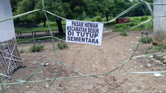 
					Cegah Pedagang dari Zona Merah, Pemkab Probolinggo Liburkan Pasar Hewan