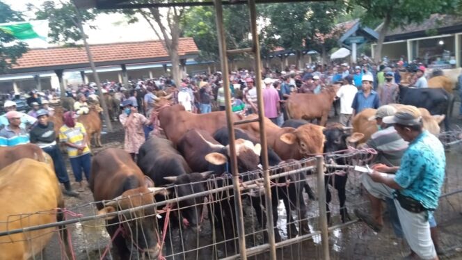 
					Nekat Buka Lebihi Jam, Pasar Hewan Bakal Ditutup