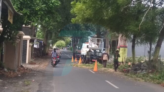 
					Ganggu Jaringan Listrik, Ranting Pohon Dipangkas
