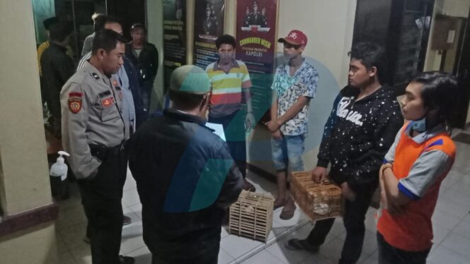 
					Balap Marmut di Leces Dibubarkan, 5 Orang Diamankan
